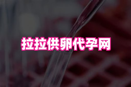 南京助孕网 3